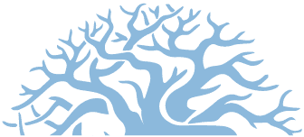 Learning & Growing Academy